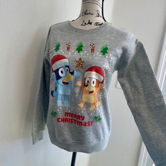 BLUEY & CHILLY HELLER UGLY CHRISTMAS SWEATSHIRT SZ S KIDS L GRAY CARTOON KAWAII - Picture 11 of 16